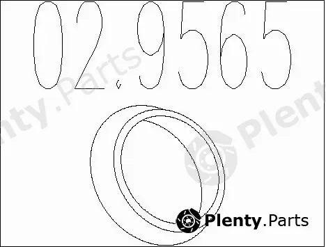 MTS 02.9565 — Seal Ring, exhaust pipe
