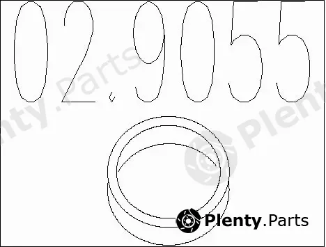 MTS 02.9055 — Gasket, exhaust pipe