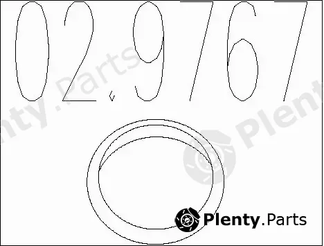 MTS 02.9767 — Seal Ring, exhaust pipe