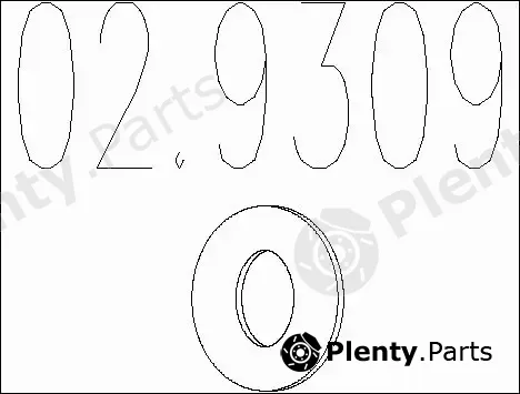 MTS 02.9309 — Seal Ring, exhaust pipe
