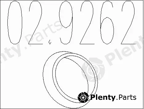 MTS 02.9262 — Seal Ring, exhaust pipe