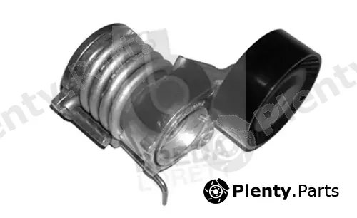 Breda Lorett TOA3824 — Belt Tensioner, V-ribbed belt