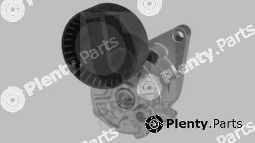 Breda Lorett TOA3033 — Belt Tensioner, V-ribbed belt