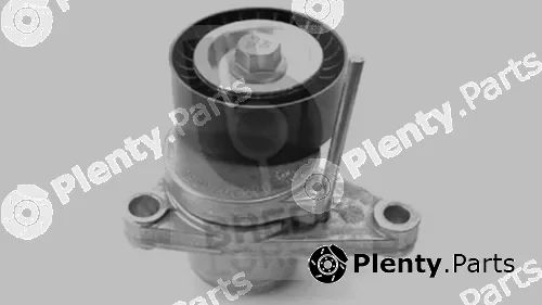 Breda Lorett TOA3679 — Belt Tensioner, V-ribbed belt