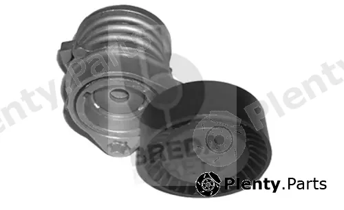 Breda Lorett TOA3770 — Belt Tensioner, V-ribbed belt