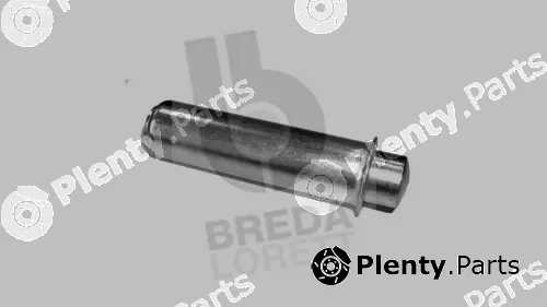 Breda Lorett TDI3899 — Vibration Damper, timing belt