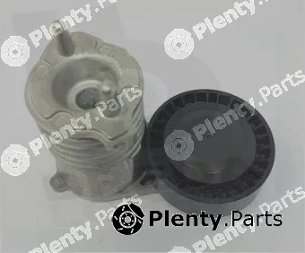 Breda Lorett TOA3833 — Belt Tensioner, V-ribbed belt