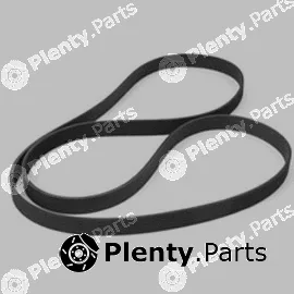 Allmakes 5072437AB — V-Ribbed Belt
