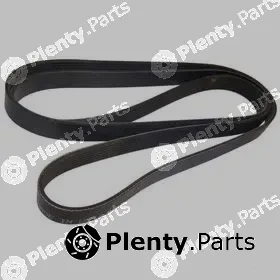 Allmakes 53011098 — V-Ribbed Belt