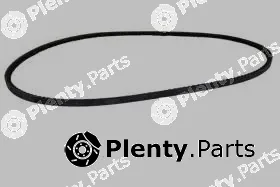 Allmakes 53000825 — V-Belt