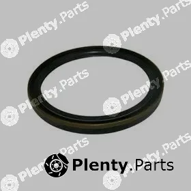 Allmakes 53020788AB — Shaft Seal, crankshaft