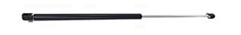 Allmakes 55029560 — Gas Spring, boot/cargo area