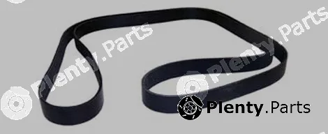 Allmakes 5015962AB — V-Ribbed Belt