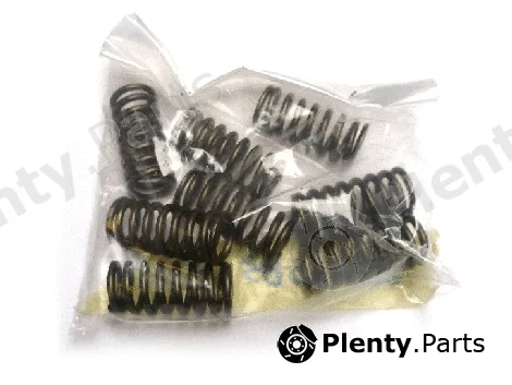 Allmakes 20462083F — Valve Spring