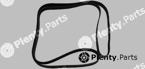 Allmakes 4612277 — V-Ribbed Belt