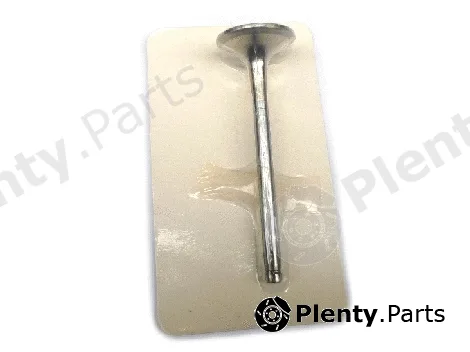 Allmakes 20360026F — Intake Valve