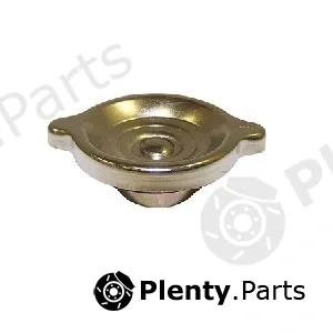 Allmakes J8132312 — Sealing Cap, oil filler neck