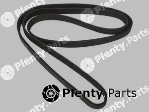 Allmakes 53010269 — V-Ribbed Belt