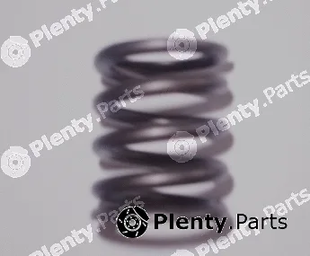Allmakes 20462093F — Valve Spring