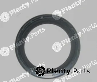 Allmakes 46340879F — Gasket, timing case cover