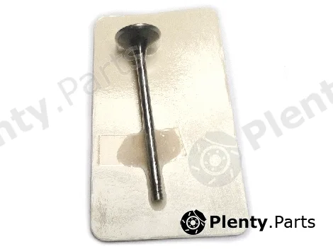 Allmakes 20362007F — Intake Valve