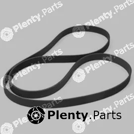 Allmakes 4864599 — V-Ribbed Belt