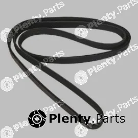 Allmakes 4883445AA — V-Ribbed Belt