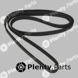 Allmakes 25185543G — V-Ribbed Belt