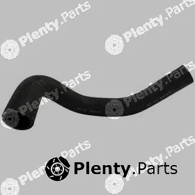 Allmakes 55038119AA — Radiator Hose