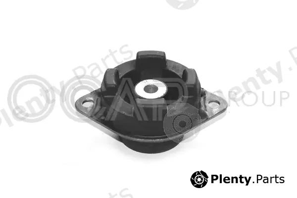 Ocap 1225013 — Mounting, engine