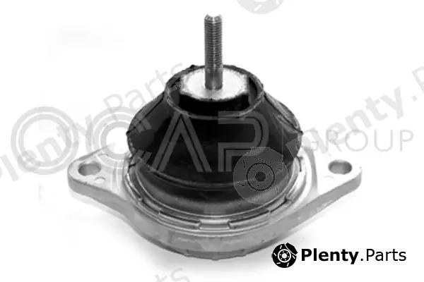 Ocap 1225007 — Mounting, engine