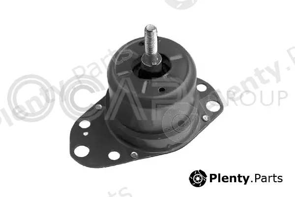 Ocap 1225190 — Mounting, engine