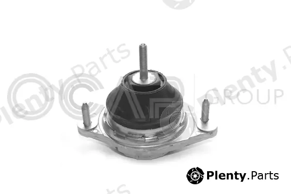 Ocap 1225023 — Mounting, engine