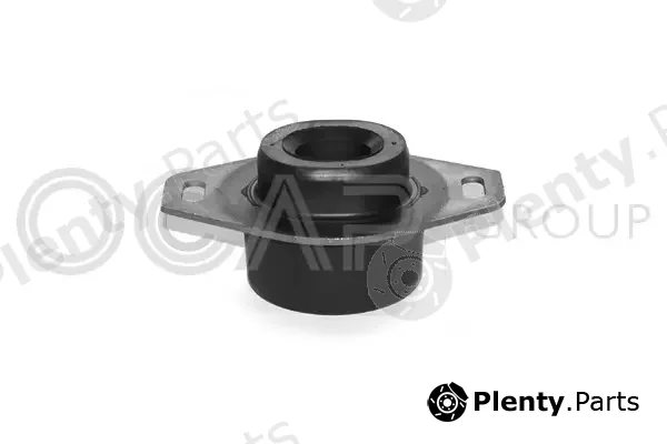 Ocap 1225163 — Mounting, engine
