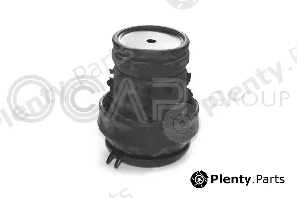 Ocap 1225500 — Mounting, engine