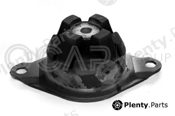 Ocap 1225011 — Mounting, engine