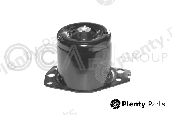 Ocap 1225604 — Mounting, engine