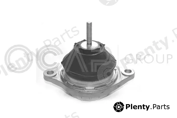 Ocap 1225018 — Mounting, engine