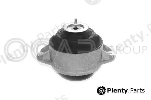 Ocap 1225264 — Mounting, engine
