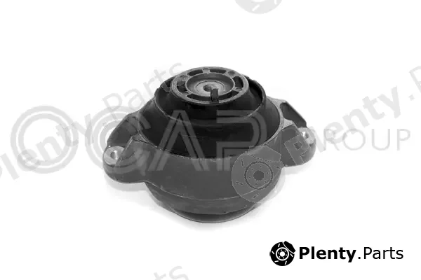 Ocap 1225331 — Mounting, engine