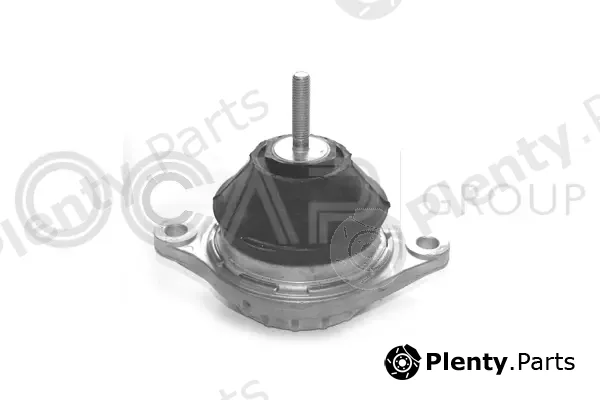 Ocap 1225019 — Mounting, engine