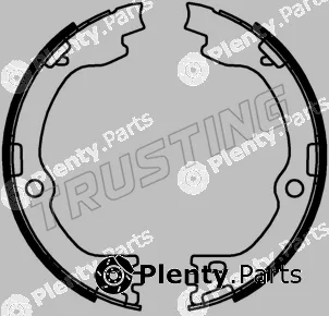 Trusting 253.738 — Brake Shoe Set, parking brake