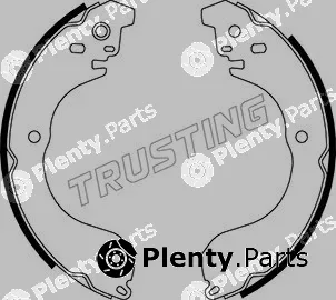 Trusting 067.199 — Brake Shoe Set