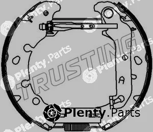 Trusting 6391 — Brake Shoe Set Kit premounted