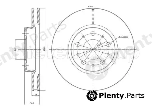 Trusting DF395 — Brake Disc