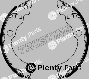 Trusting 111.255 — Brake Shoe Set