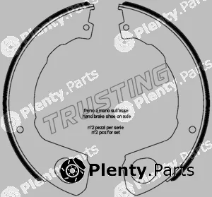 Trusting 253.665 — Brake Shoe Set, parking brake