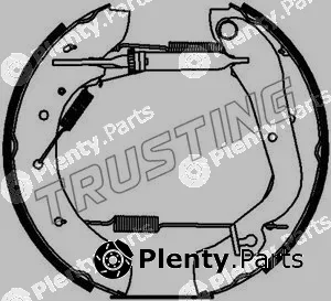 Trusting 6207 — Brake Shoe Set Kit premounted