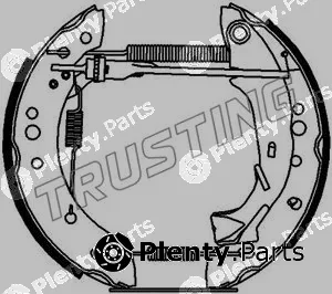 Trusting 6198 — Brake Shoe Set Kit premounted