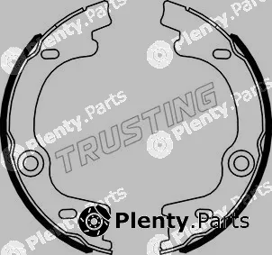 Trusting 049.169 — Brake Shoe Set, parking brake